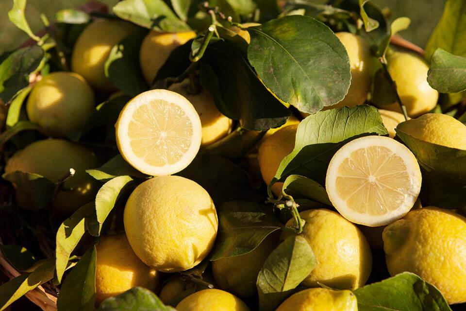 Limoni gialli di Sicilia 4 Kg.